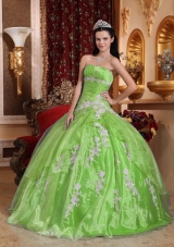 Beautiful Appliques Puffy Strapless Quinceanera Dresses for 2014