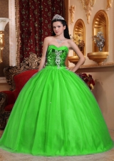 Popular Sweetheart Beading Puffy Quinceanera Dresses in Spring Green