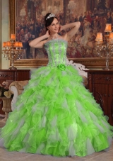 Puffy Strapless Appliques 2014 Spring Quinceanera Dresses