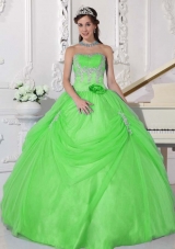 Puffy Strapless Appliques Quinceanera Gowns in Spring Green