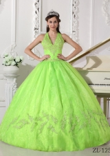 Spring Green Halter Organza 2014 Quinceanera Dresses with Appliques