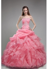 Ball Gown Orangza Pink Quinceanera Gown Dresses with Beading and Ruffles