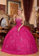 Hot Pink Ball Gown Strapless 2014 Quinceanera Dresses with Appliques