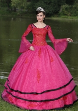 Most Popular V-neck Appliques Decorate Quinceanera Gowns With Long Sleeves