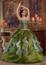Olive Green Sweetheart Organza Sweet Sixteen Dresses with Ruffles and Beading