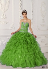 Fashionable Green Puffy Sweetheart with Appliques Quinceanera Dress for 2014