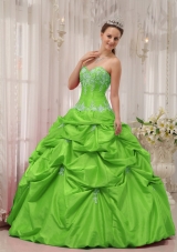 2014 Spring Green Puffy Sweetheart Appliques Quinceanera Dress with Pick-ups