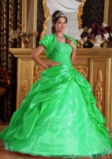 2014 Pretty Green Puffy Sweetheart with Appliques Taffeta Quinceanera Dress