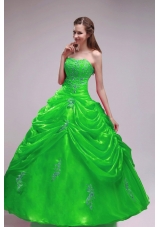 2014 Green Puffy Strapless Orangza Quinceanera Dress with Pick-ups and Applqiues