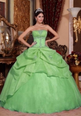 2014 Green Puffy Strapless with Appliques and Beading Quinceanera Dress