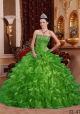 Exclusive Puffy Strapless with Ruffles and Beading for 2014 Green Quinceanera Dress