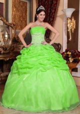 2014 Spring Green Puffy Strapless Appliques Quinceanera Dress with Pick-ups