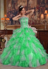 Puffy Strapless with Flowers and Appliques Decorate for 2014 Green Quinceanera Dress