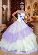 Colourful Ball Gown Strapless 2014 Embroidery Quinceanera Dresses