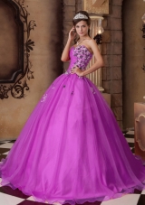 Appliques and Beading Sweetheart Organza Quinceanera Dress for Cheap