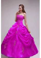 Elegant Fuchsia Strapless Orangza Applqiues and Pick-ups Quinceanera Dress