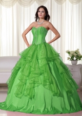 Green Ball Gown Sweetheart Organza Quinceanera Dress with Embroidery