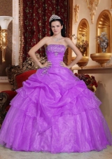 Ball Gown Strapless Organza Sweet 15 Dresses with Appliques and Pick-ups