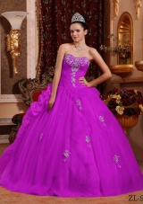 Elegant Sweetheart Organza Quinceanera Dress with Appliques and Pick-ups
