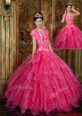 Fashionable Appliques and Ruffles Hot Pink Quinceanera Dresses