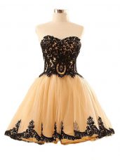 Champagne Lace Up Prom Evening Gown Appliques Sleeveless Mini Length