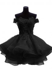 Off The Shoulder Sleeveless Zipper Black Organza