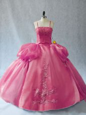 Fantastic Sleeveless Floor Length Appliques Lace Up 15th Birthday Dress with Pink