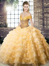 Organza Sleeveless Sweet 16 Quinceanera Dress Brush Train and Beading and Ruffled Layers