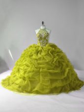 Comfortable Court Train Ball Gowns Quinceanera Gown Olive Green Halter Top Tulle Sleeveless Lace Up