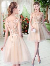 Pretty Champagne A-line Scoop Short Sleeves Tulle Mini Length Lace Up Appliques Evening Dress