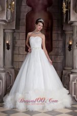 Feather Like Sweetheart Organza Wedding Dress