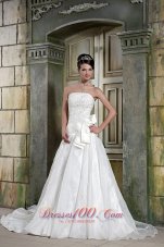 Strapless Organza Princess Appliques Chapel Train Wedding Gown