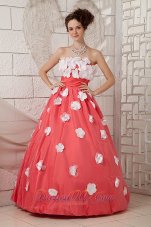 A-line Prom Dress Watermelon Taffeta White Floral Appliques
