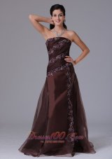 Wholesale 2013 Prom Celebrity Dress Brown