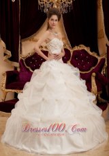 Amazing Beautiful Ivory Quinceanera Dress Sweetheart Pick-ups