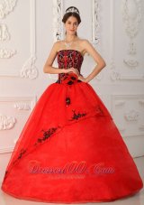Strapless Black and Red A-line Embroidery Quinceanera Dress Boning
