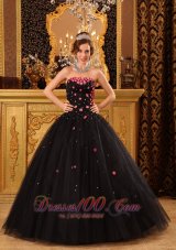 Black Quinceanera Dress Strapless Pink Floral 2012