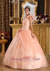 Pink Quinceanera Dress One Shoulder Appliques Tulle