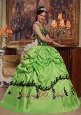 Light Green Taffeta Quince Dresses Spaghetti Straps Appliques