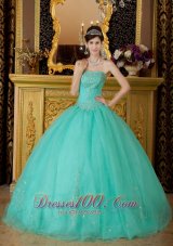 Strapless Turquoise Quince Dresses Organza Beading Affordable