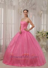 Pink Plus Size Quinceanera Dress Sequin and Beading