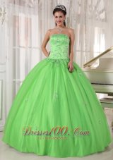 Spring Green Dresses Quinceanera Taffeta and Tulle Appliques