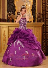 Fuchsia Appliques and Beading Quinceaneras Dress Organza