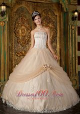 Champagne Quinceanera Dress Strapless Appliques Tulle