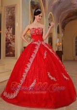 Red Sweet 16 Dresses Organza Embroidery and Beading