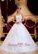 Exquisite Appliques Organza White Sweet 16 Dress