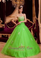 Spring Green Quinceanera Dress A-line Appliques Strapless