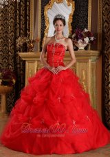 Red Pick-ups Appliques Floor-length Quinceanera Dress