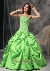 Spring Green Floor-length Taffeta Quinceanea Dress