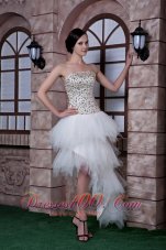 Column Strapless High-low Prom Celebrity Dress Beading Taffeta and Tulle